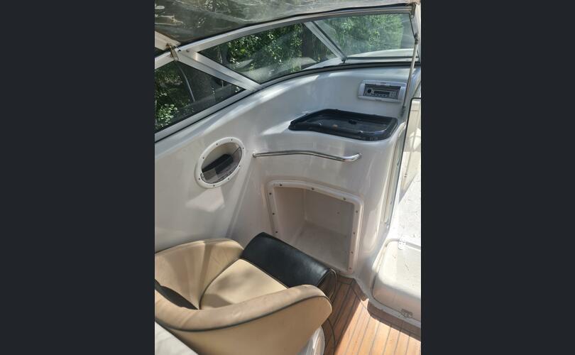 Silver Moreno 620-kuva-8